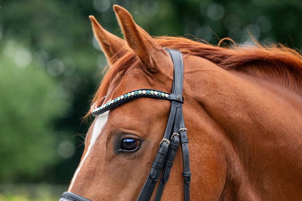 Frontriem Classic High End crystals L lak - Afbeelding 3