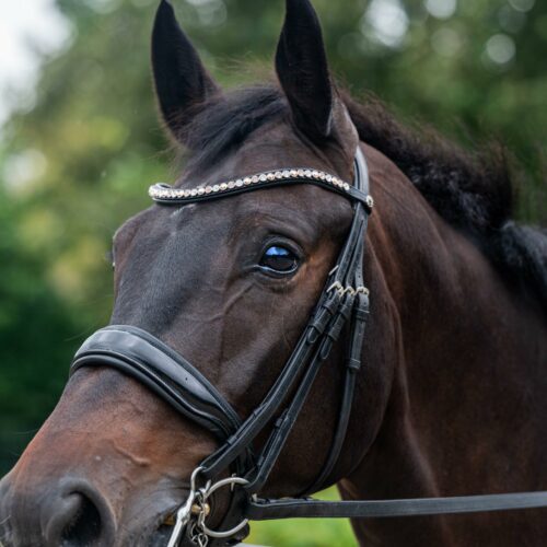 Frontriem Classic High End crystals L