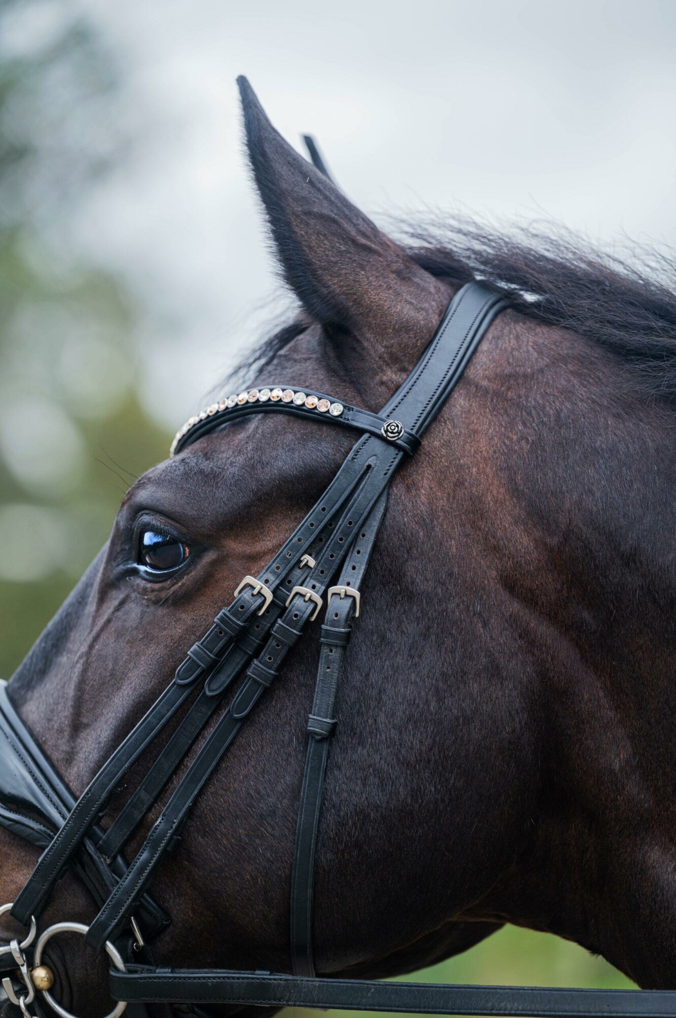 Frontriem Classic High End crystals L lak - Afbeelding 4