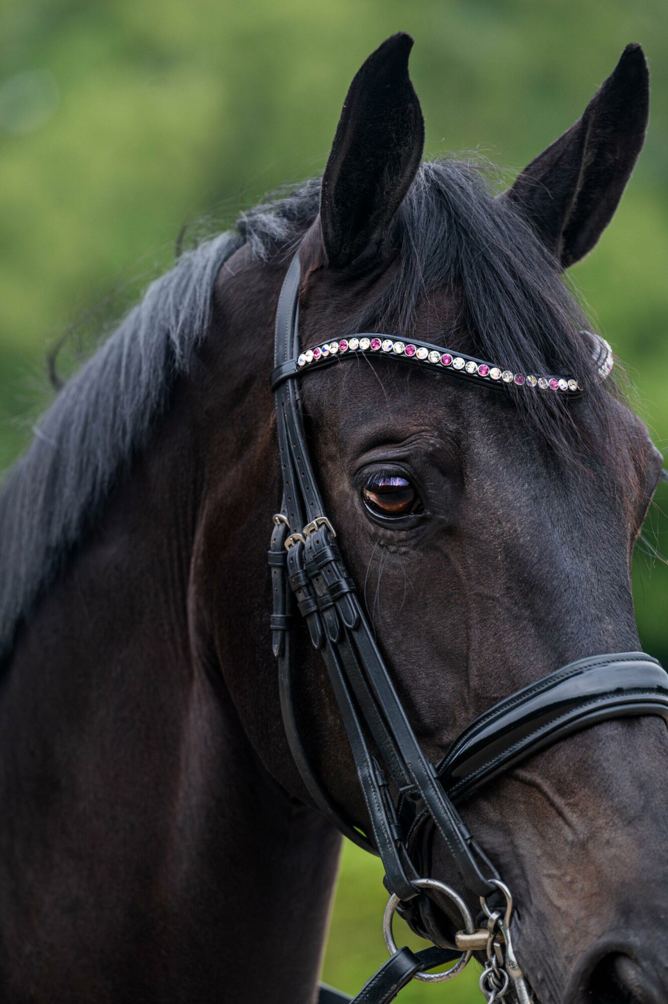 Frontriem Classic High End crystals L lak