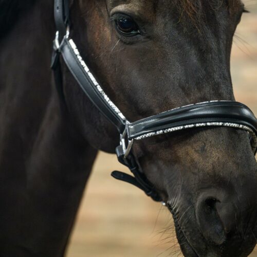 EQRoos Halster SneakyPython