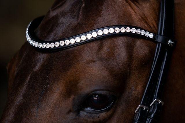 Frontriem Classic High End crystals L lak - Afbeelding 19