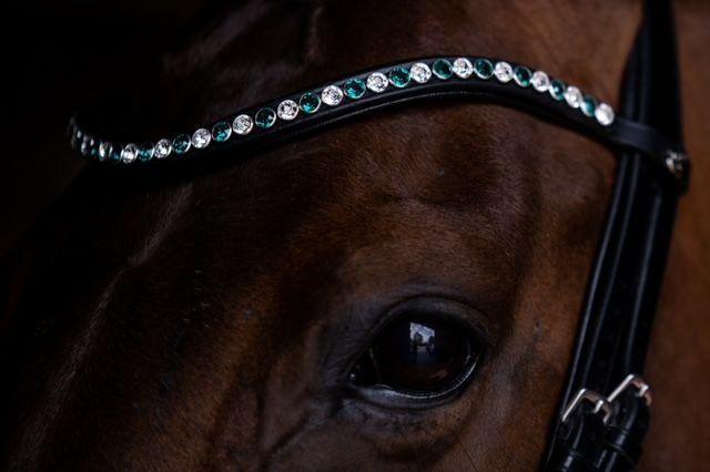 Frontriem Classic High End crystals L lak - Afbeelding 15