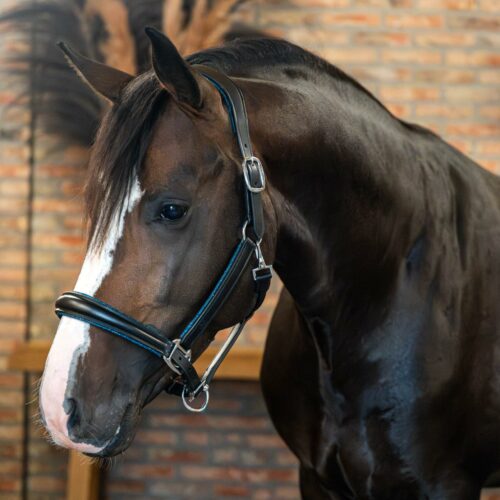 EQRoos Halster BlueGlitter