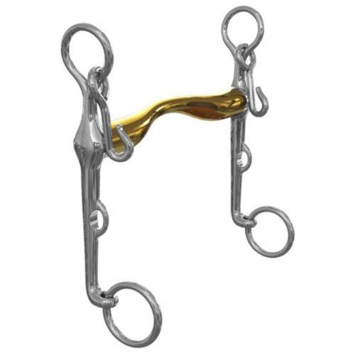 Neue Schule Aachen dressuurstang