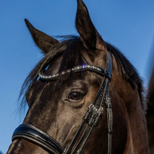 Frontriem Classic Button High End crystals lak