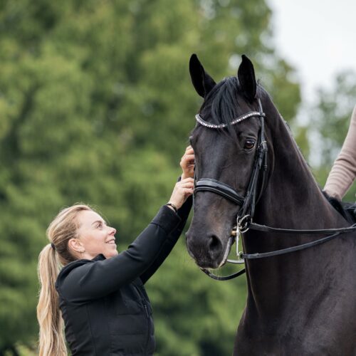 E-Book | 'Through the eyes of: Roos Rokven - Bit & Bridle specialist' ENGLISH VERSION
